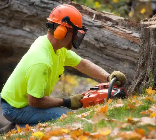 tree services Nebraska City